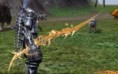 /album/pvp2/images-1-jpg/